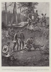 The Employment of Dogs in Warfare